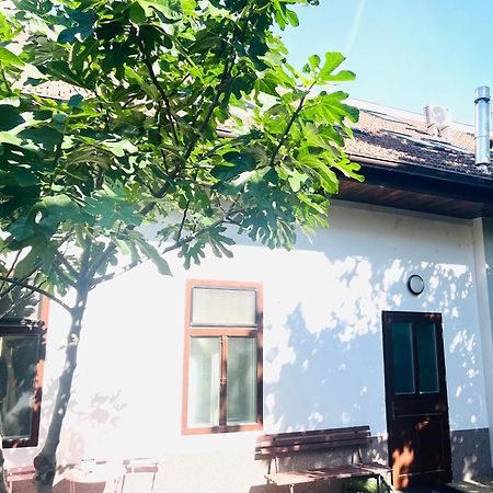 Jokai Apartman Komárno エクステリア 写真