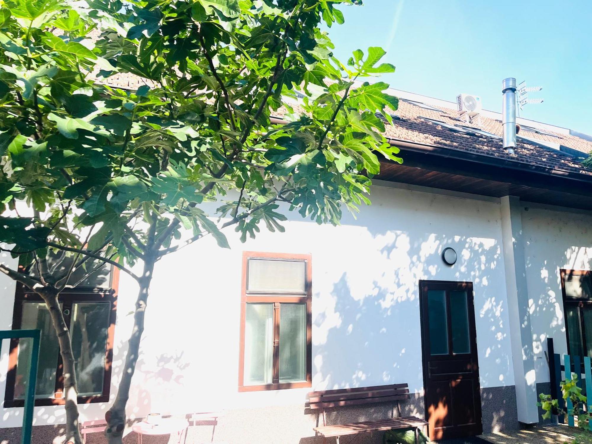 Jokai Apartman Komárno エクステリア 写真